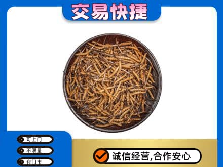 咸阳市泾阳回收散虫草